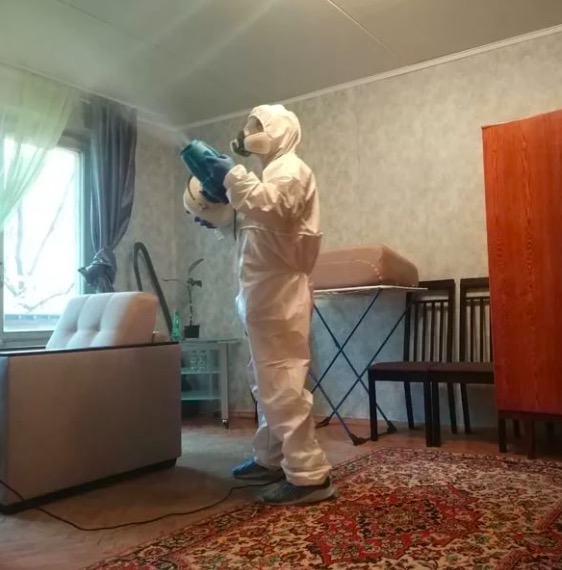 дезинсекция квартиры в Дмитрове